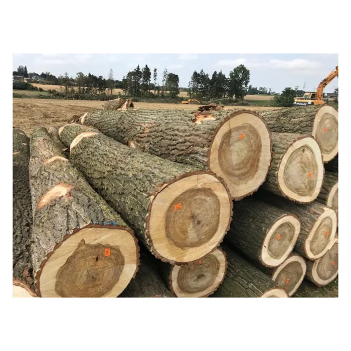 Top Quality Kiln Dried Firewood Oak and Beech Firewood Logs | kiln dried birch firewood drying kilns for sale