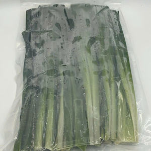 La elección inteligente: IQF Frozen Pandan rentable y aromático. - Product Image 6