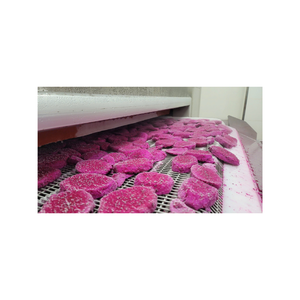 Moitiés et cubes de fruit du dragon congelés de qualité supérieure transformés IQF au Vietnam sous contrôle de qualité strict adapté - Product Image 2