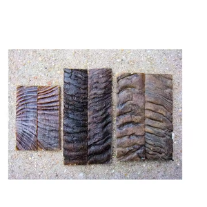 Écailles et plaques en corne de mouton en corne de bélier naturelle polie bon produit décoratif pour la maison au prix - Product Image 1