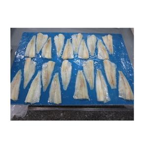 ปลาค็อดแอตแลนติกแช่แข็งคุณภาพเยี่ยม BQF/เนื้อปลาค็อด ออร์แกนิกจากโปรตุเกส ผู้จัดจำหน่ายชั้นนำ บรรจุภัณฑ์สุญญากาศเกรดพรีเมียม ขายส่งออนไลน์ - Product Image 5