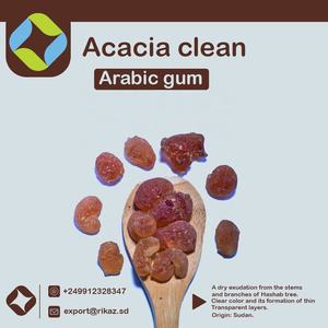 100% Raw Sudan Acacia goma árabe de Direct Resources Pure Sudan Talha Arabic Gum Rikaz Producto agrícola - Product Image 2