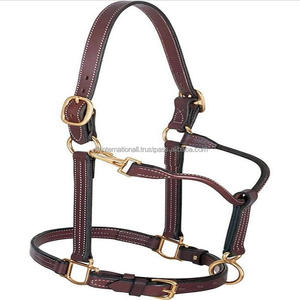Cabestro de caballo de cuero de sillín grueso negro o Habana con acolchado suave y costuras duraderas Herrajes de níquel o latón de alta resistencia - Product Image 4
