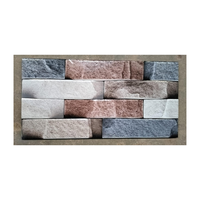Modernes Design Digital bedruckte Keramik-Wandfliesen 300 X600 MM Elevation Wandfliesen für Außenwände von Außen balkonen und Villen