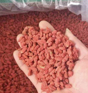 Material de bayas de goji secas de calidad, procedente de Vietnam, apto para la preparación de alimentos, mezclas y la elaboración de bebidas. - Product Image 1