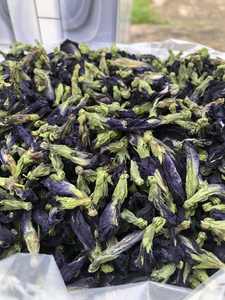 Herbals Flowers Yunnan Cheap Price Blue <b>Butterfly</b> Pea <b>butterfly</b> Been Flowers - Product Image 5