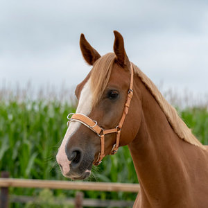 Brida Show Bridle Brida de cuero occidental de alta calidad Western Heavy Duty Headstall Cowboy Rawhide Trenzado Noseband - Product Image 1