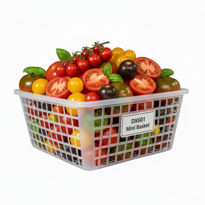 DX601 Durable and Practical <b>Food</b> Grade Mini <b>Tomato</b> Basket for Hamburger & Bread - Product Image 1