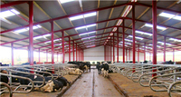 Structure en acier à grande portée pour abri de bétail / hangar à vaches, bâtiment agricole en acier, installation d'élevage laitier