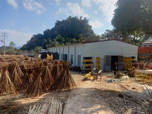 Bâtons et cannes ronds solides en bambou jaune durable, longueur 4 m, diamètre 0,01 m, marque GGN, modèle SR-BAMBOOVN - Product Image 5