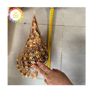 Trompette coquillages poli océan coquille matériel pour accessoires de Design intérieur ou décor d'événement du Vietnam - Product Image 3