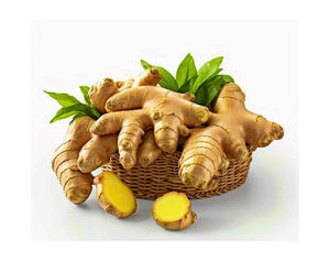 Vente en gros de gingembre frais/gingembre sec fournisseur de gros bio à bas prix - Product Image 4