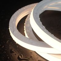 Tira de Luz LED de Silicona de Neón Flexible de 24 V CC, 8 x 16 mm, IP68, SMD2835, 120 LED/m, para Señalización Exterior de Hoteles