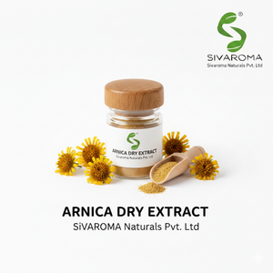 Poudre d'extrait d'arnica pour la fabrication à grande échelle de produits cosmétiques et de soins de la peau - Product Image 1