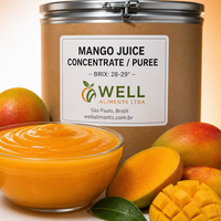 WELL ALIMENTS Concentrado de Zumo de Naranja Recién Exprimido 66 Brix Origen Sao Paulo 100% Puro Congelado Barril de 262 L