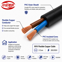 Câble en cuivre flexible RVV 2*2,5 mm, 600V, isolé PVC, gaine isolante, pour connexion électrique intérieure et extérieure des bâtiments