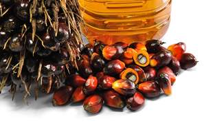 Factory Price Premium Quality Edble Refined <b>Sunflower</b> Oil Organic ISO Certified <b>Top</b> Grade Cooking Oil Sale Austria - Product Image 2