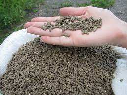 อาหารทานตะวันสำหรับอาหารสัตว์เมล็ดทานตะวัน - Product Image 4