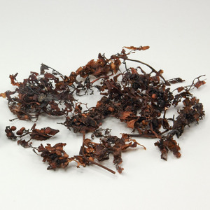 สาหร่ายทะเล Sargassum แห้งสาหร่ายทะเลทะเลแห้ง - Product Image 2