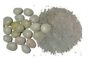 Polvo de semilla de Kharbuja de melón orgánico de alta calidad, extracto de hierbas naturales en cultivo salvaje de grado alimenticio, tambor empaquetado a buen precio - Product Image 3