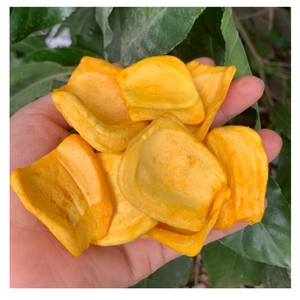 Chips de jacquier tropical Snack aux fruits croustillants sains cultivés et fabriqués au Vietnam - Product Image 1