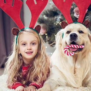 Jouets d'entraînement de dentition jouet en coton pour animaux de compagnie jouet à mâcher pour chien lavable coloré interactif pour le nettoyage des dents OEM fabriqué au Vietnam - Product Image 5