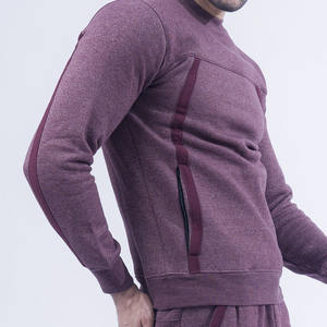 High Quality Custom Logo Heavy Sweatshirt Unisex Cotton Sweatshirt Heavyweight Cotton Winter Crew Neck Pullover Sweatshirt - Product Image 2