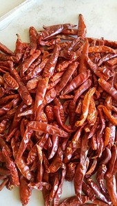 Piments rouges séchés naturels sans tige, qualité supérieure pour le marché international des épices, vente en gros, emballage en vrac, expédition mondiale - Product Image 5