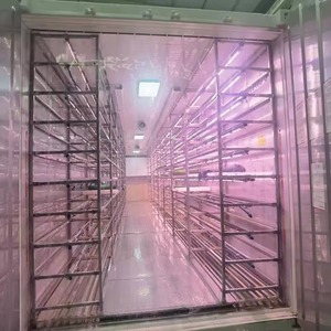 Conteneur intelligent à climatisation contrôlée pour la culture de champignons, 40 pieds High Cube, ferme de champignons Plug and Play pour huîtres et shiitake - Product Image 2