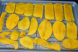Premium Dried Mango Slices, Affordable Price, High Vitamin C From Fresh Fruit, Top Quality From Vietnam - Product Image 2