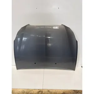 Cofano Anteriore LANCIA Delta 3a Serie 9 (08>11) - Product Image 1