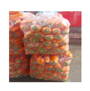 Großhandel Vietnam Neujahrszeit Größe M frische Karotte verschiedene Größen zur Auswahl  Zuverlässiger vietnamesischer Lieferant