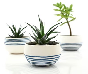 Juego de Macetas de Cerámica Blanca Premium con Patrón Azul Pintado a Mano, Soporte Duradero para Plantas Decorativas de Interior - Product Image 3