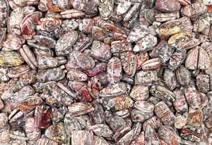 Magnifique paire de pierres précieuses en quartz de lupite naturelle, taille et poids personnalisables pour la fabrication de bijoux, ensembles cadeaux en gros - Product Image 5