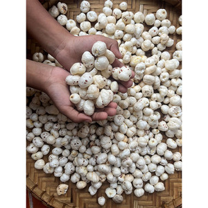 Phool makhana เกรดเอจากธรรมชาติขนาด21-26มม. พร้อมรับประทานสำหรับแบรนด์อาหารออร์แกนิกและตัวแทนจำหน่ายขนมขบเคี้ยว - Product Image 2