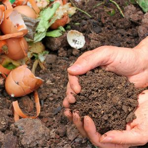 Bioculture de compostage durable municipale avec probiotiques pour les villes - Product Image 5