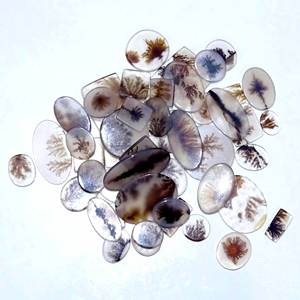Shazar dendritic Agate หินอัญมณี Cabochon ธรรมชาติที่ดีของควอตซ์รูปร่างผสมสำหรับการทำเครื่องประดับ - Product Image 5