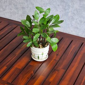 Modern 120x70cm Outdoor Dining <b>Table</b> with Durable Acacia Wood and <b>Foldable</b> Hairpin Iron <b>Legs</b> for Camping-CFD68205 - Product Image 4
