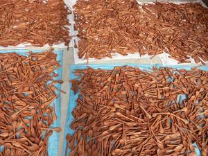 Meilleur prix Bols en coquille de noix de coco écologiques avec fourchette et cuillère, Bol artisanal 100% noix de coco naturelle fabriqué au Vietnam - Product Image 2