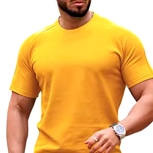 Ropa informal para hombre, camiseta, conjunto corto, alta calidad, antiarrugas, transpirable, tendencia superior, camiseta para hombre, conjunto corto con peso ligero - Product Image 2