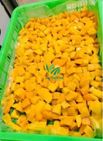 Premium IQF Diepvries Mango Bulk-Sticks/Dobbelstenen/Hele vruchten/Halve vruchten/Puree - Gemaakt door VIET THIEN PHU Vietnam
