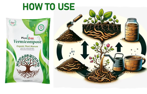 Revitalisateur de sol organique Engrais pour fumier séché au soleil Vermicompost Engrais pour plantes ciblant les insectes Lutte antiparasitaire - Product Image 2