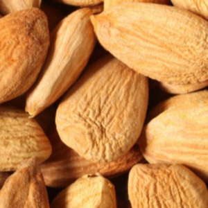 Meilleur prix en gros pour les amandes d'Afrique du Sud, brutes, séchées, naturelles, de qualité supérieure, en sac, avec une durée de conservation de 2 ans, pour usage alimentaire - Product Image 5