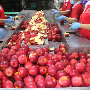 Bebida de Jugo de Manzana VINUT 330ml, Caja de 24 Latas, Lista para Enviar, Muestra Gratuita, OEM/ODM, Marca Privada - Product Image 4