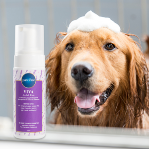 Producto Profesional para el Cuidado de Mascotas, Champú en Espuma Pawlene Viva Luxury sin Enjuague con Fragancia Suiza, Libre de Parabenos y Colorantes - Product Image 1