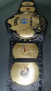 Cinturones de campeonato personalizados Trofeos Medallas y premios El símbolo definitivo de Victoria y excelencia Cinturones de Campeonato - Product Image 4