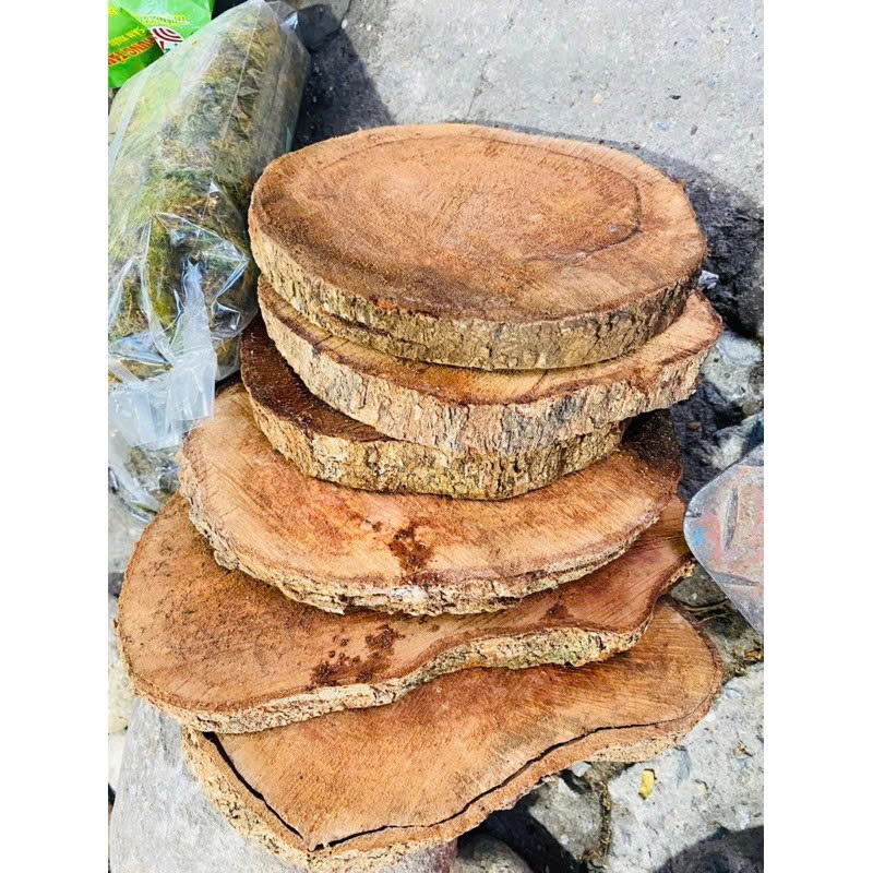 ธรรมชาติ