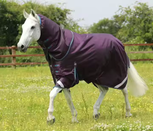 Tapis d'hiver abordables pour chevaux avec motifs personnalisés en tissu imperméable à 100% de polyester pour le confort par temps froid - Product Image 5