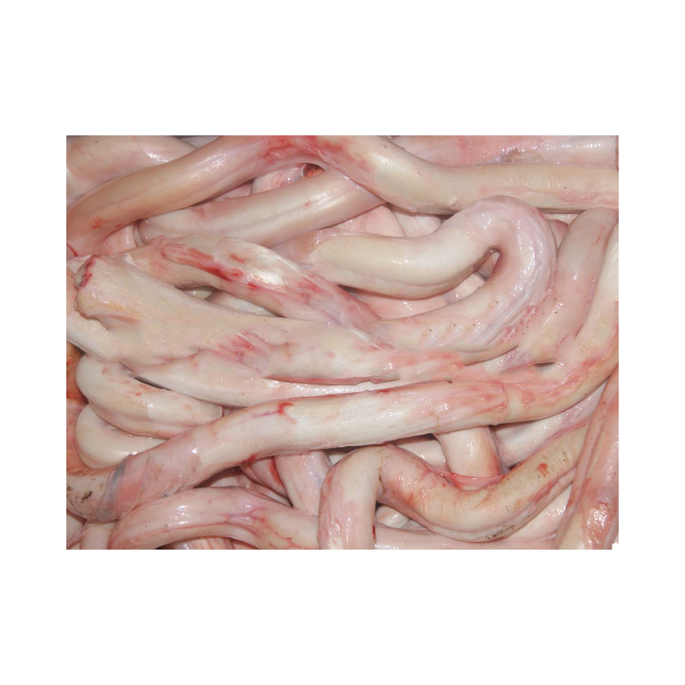 Top Quality Frozen Pizzle Halal Beef Penis for Sale