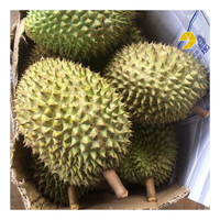 Bevroren Hele Ri6 Durian Verse Durian Pulp Premium Monthong Durian Vlees Voor Export Uit Vietnam Met Hoge Kwaliteit